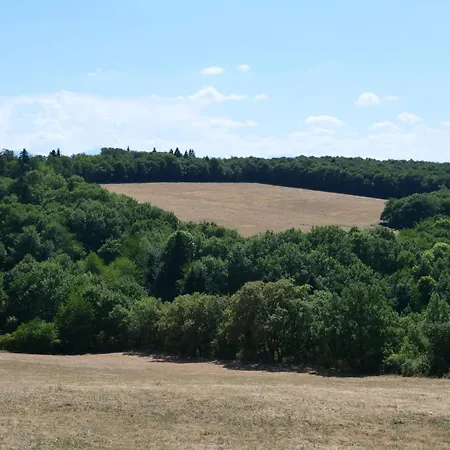 Maison Avec Vue Sur Le De Vakantiehuis